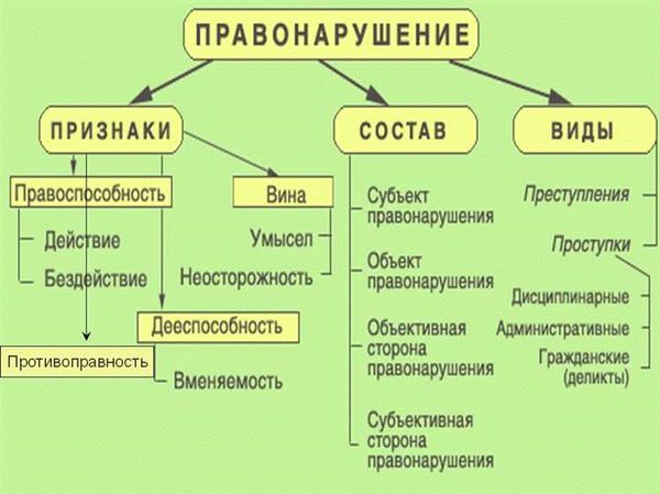 Понятие и общая характеристика субъекта правонарушения