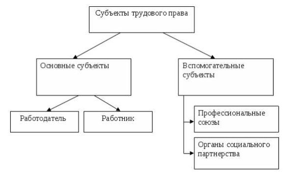 Работник и работодатель: основные права и обязанности