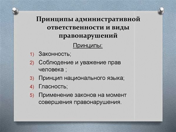  Принципы производства по делам об административных правонарушениях