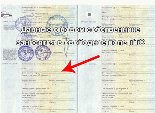 Что делать после продажи автомобиля?