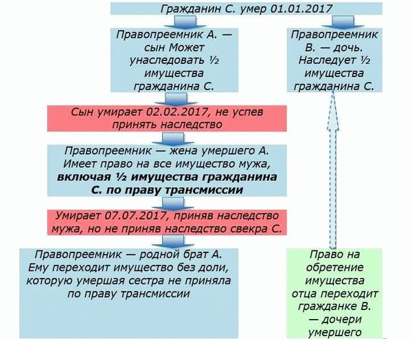 Как проходит распределение наследства