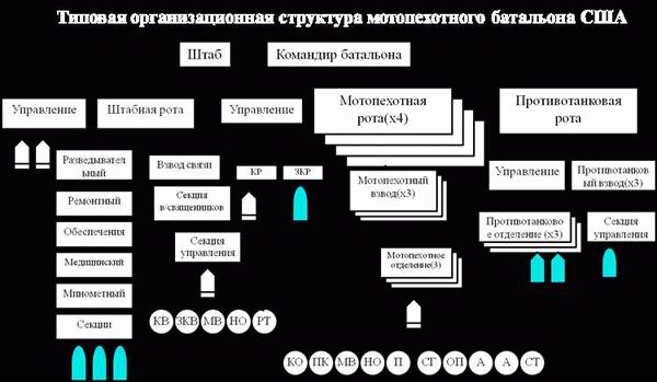 Подготовка военнослужащих и пополнение состава взвода