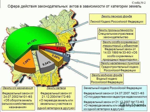 Как можно использовать земли лесного фонда