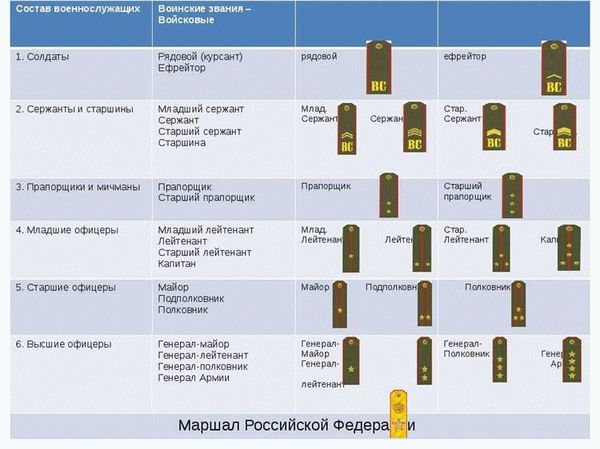 Какие погоны носят представители младшего офицерства