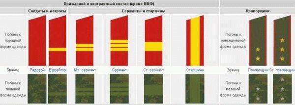 Офицерские звания и их обязанности